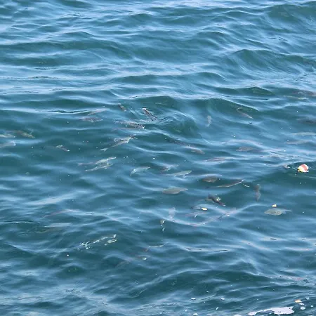 Hotel Golden Halic Provincia di Istanbul