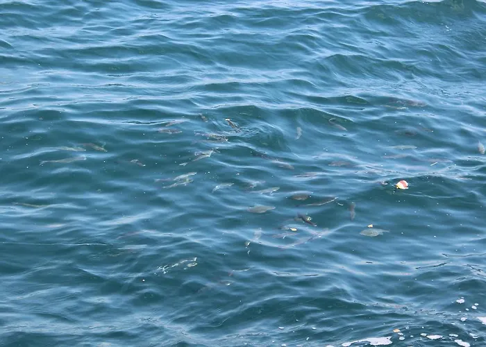 Hotel Golden Halic Istanbulská provincie